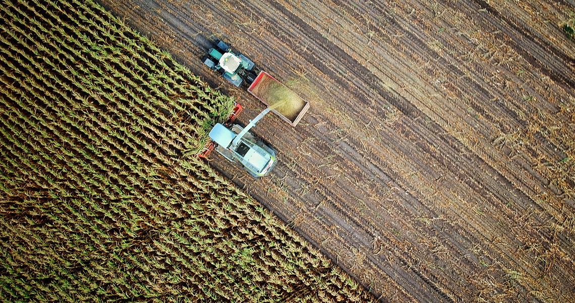 Agricultura/Florestas